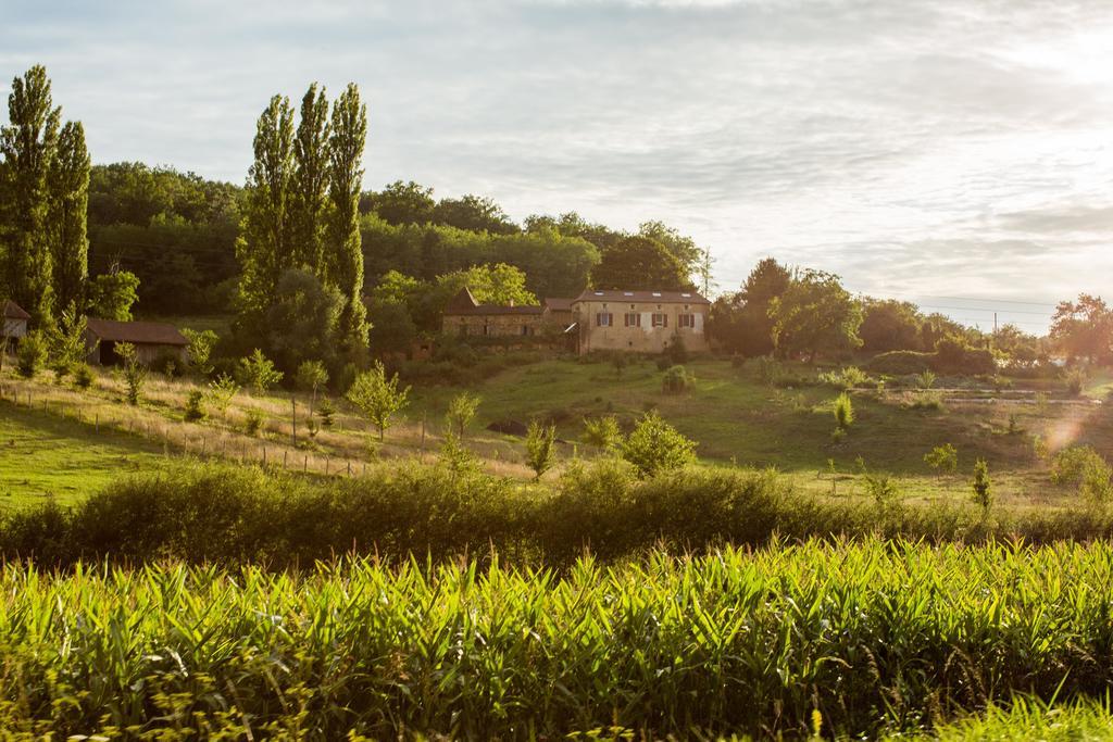 מלון Saint-Amand-de-Belvès La Ferme De Cagnolle מראה חיצוני תמונה
